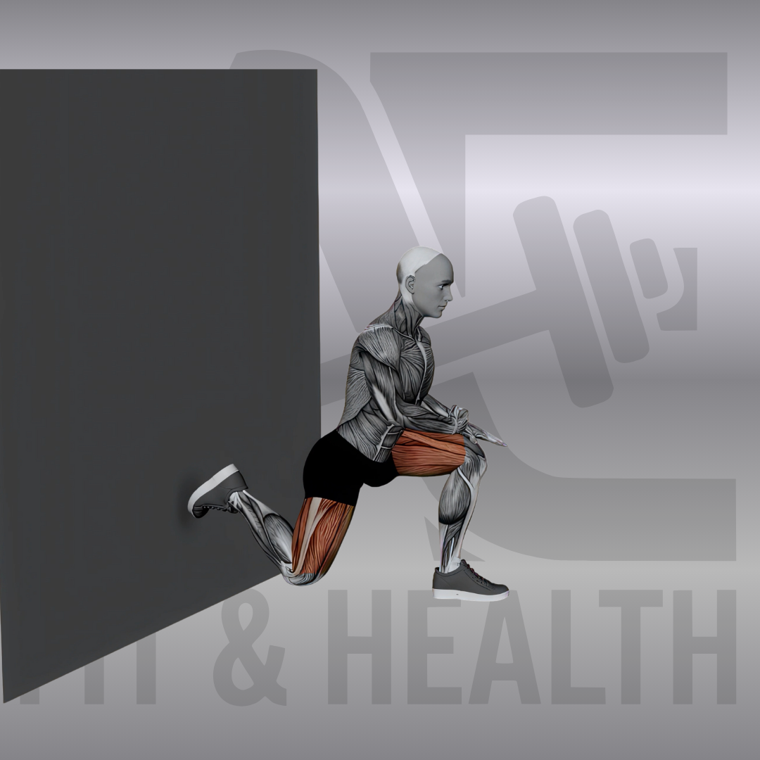 Bulgarian Split Squat Stretch – Anatomische Darstellung einer Person, die den hinteren Fuß an einer Wand erhöht hat, um Quadrizeps und Hüftbeuger intensiv zu dehnen.