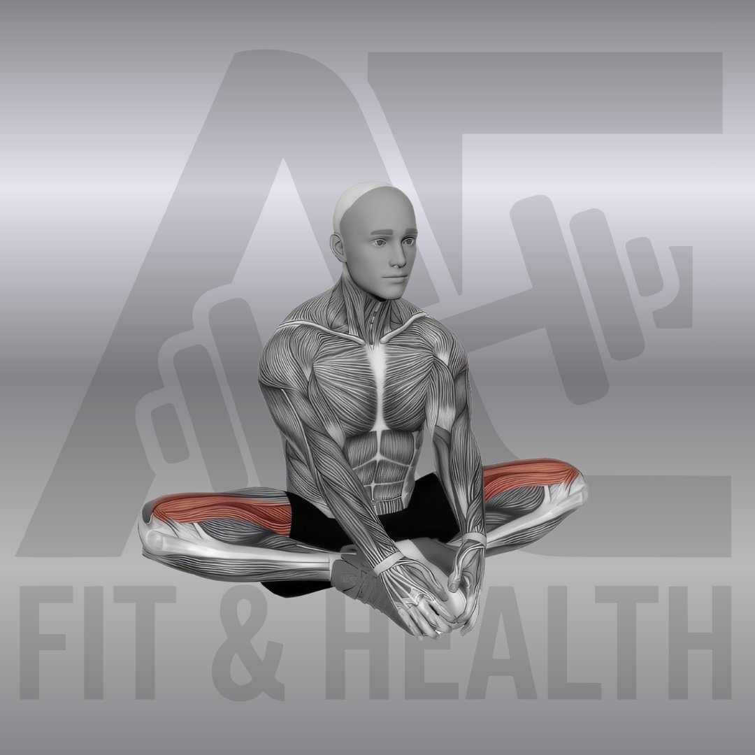 Butterfly Yoga Flaps – Anatomische Darstellung einer Person im Schmetterlings-Sitz, die die Fußsohlen aneinanderhält und die Knie zur Mobilisierung der Hüfte auf und ab bewegt.