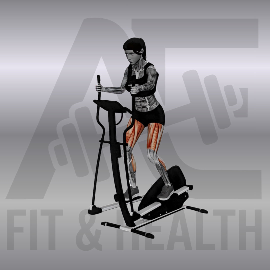 Crosstrainer (Gym Elliptical Machine) – Anatomische Darstellung einer Frau bei einer flüssigen Ganzkörperbewegung auf einem Crosstrainer im Fitnessstudio.