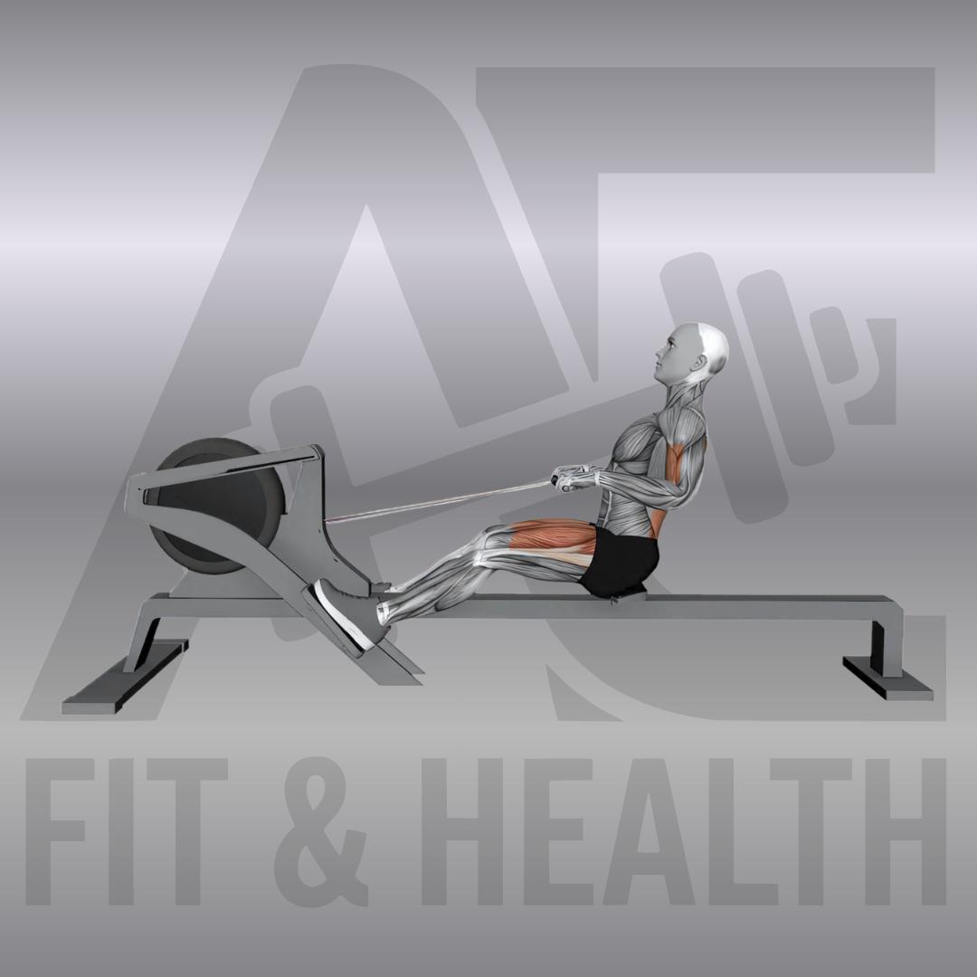 Rudergerät (Rowing Machine) – Eine Person führt eine flüssige Ruderbewegung auf einem Ergometer im Fitnessstudio aus, wobei die Kraftübertragung von den Beinen in den Rücken dargestellt wird.