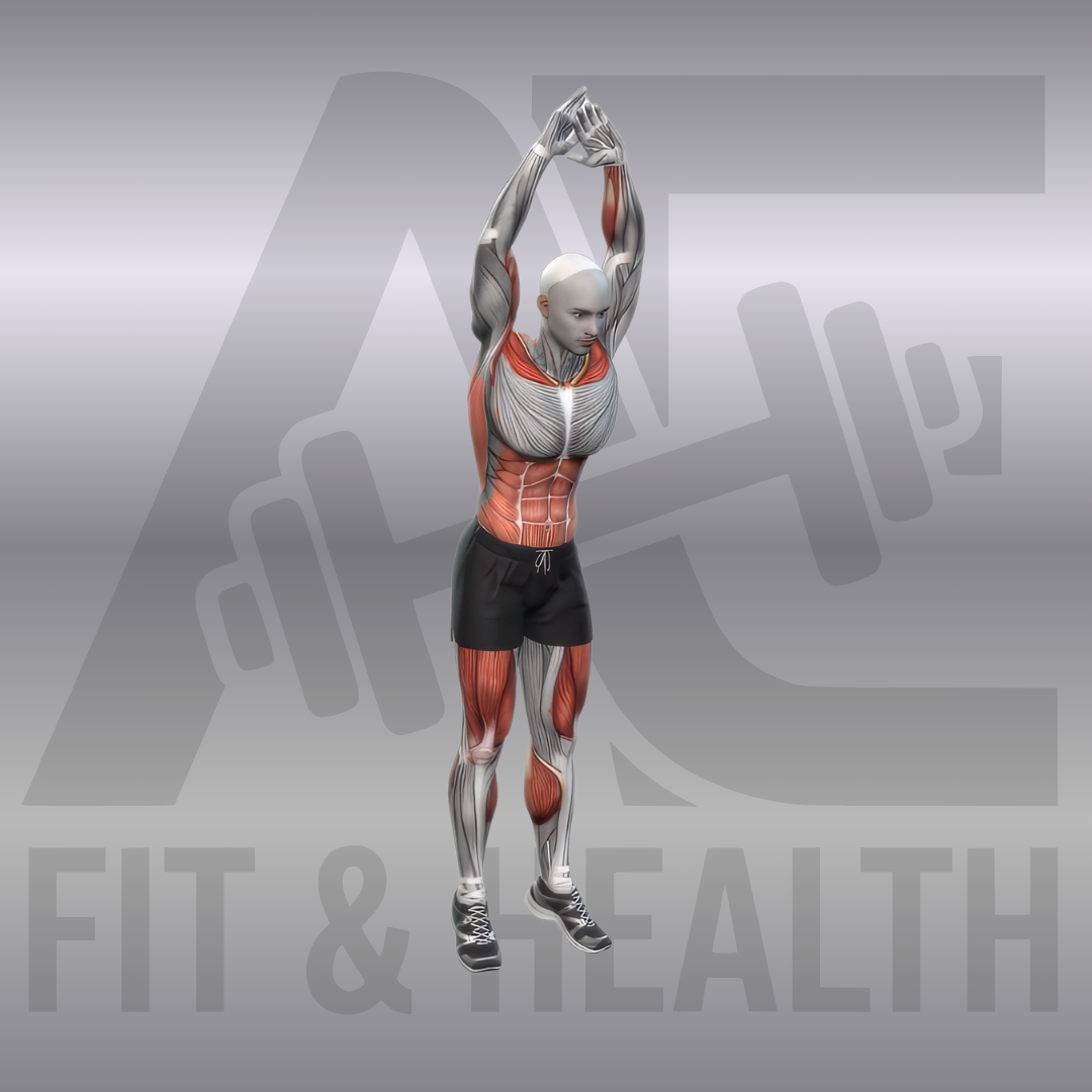 Burpee – Anatomische Darstellung der Bewegungsphasen vom Stand über die Liegestützposition bis zum explosiven Strecksprung nach oben.