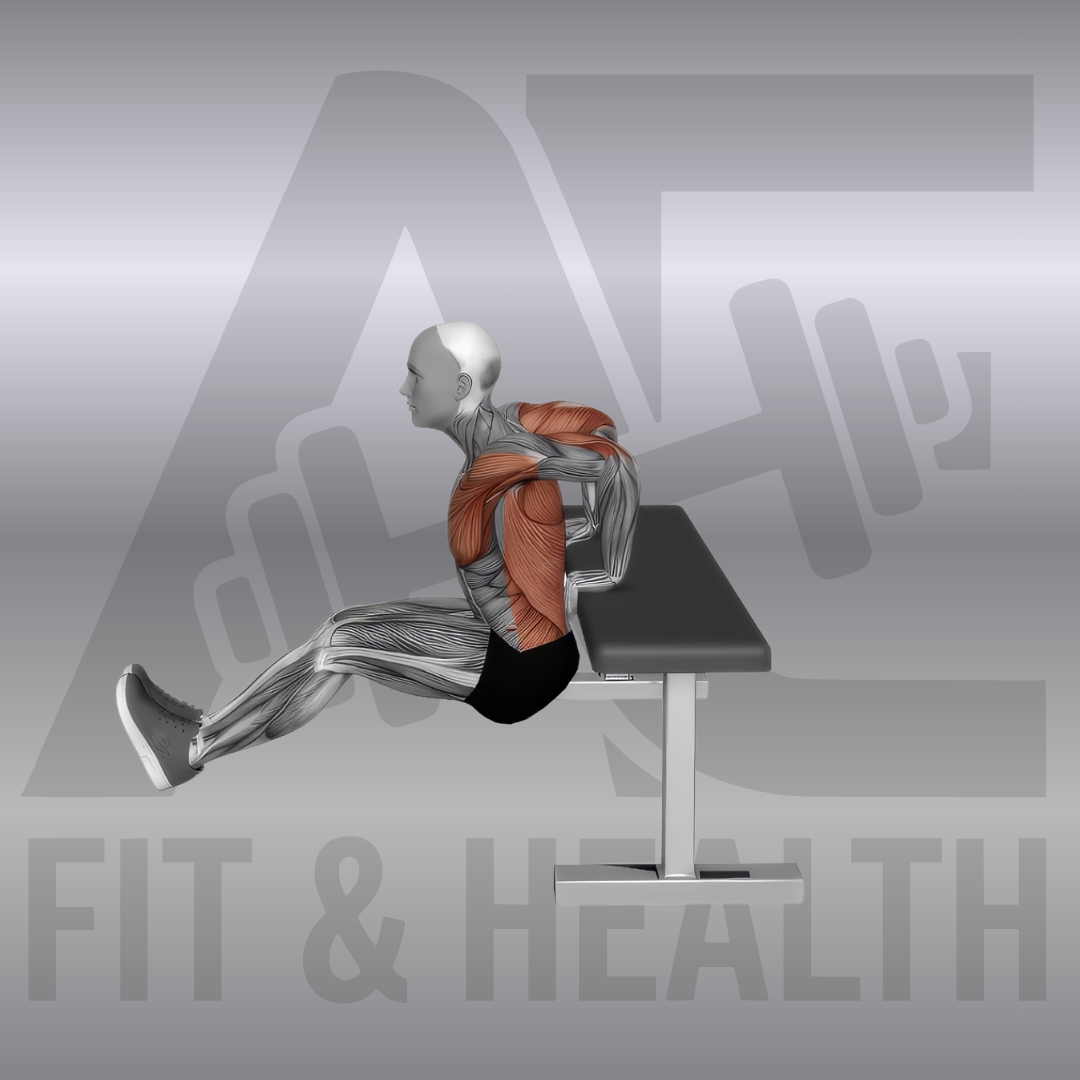 Chest Dip on Bench – Eine Person stützt sich rücklings an einer Trainingsbank ab und senkt das Becken mit leicht nach vorne geneigtem Oberkörper ab, um die untere Brustmuskulatur und den Trizeps zu trainieren.
