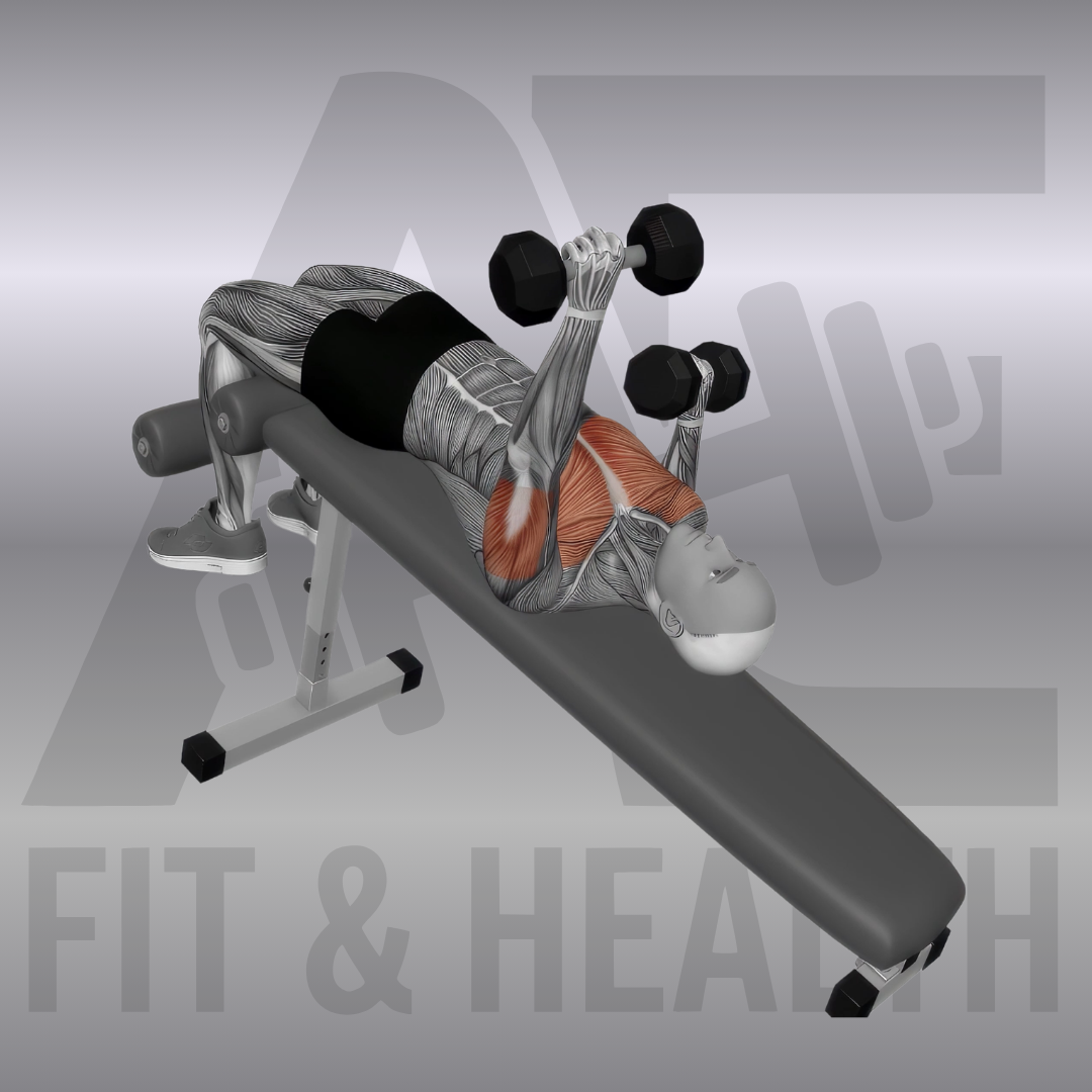 Dumbbell Decline Alternate Bench Press – Eine Person liegt auf einer Negativbank, fixiert eine Kurzhantel in gestreckter Position oben und senkt die andere Kurzhantel ab, um die untere Brustmuskulatur alternierend zu trainieren.