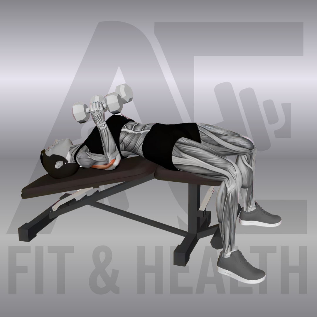 Dumbbell Decline Close Neutral Grip Press – Eine Person liegt auf einer Negativbank und drückt zwei eng nebeneinander gehaltene Kurzhanteln im Neutralgriff von der unteren Brust nach oben.