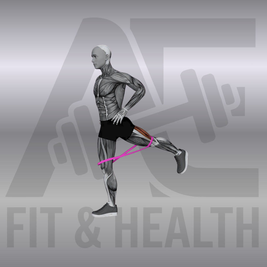 Resistance Band Standing Balance Glute Kickback – Eine Person steht frei auf einem Bein mit einem Widerstandsband um die Knöchel und führt das andere Bein gestreckt nach hinten aus.