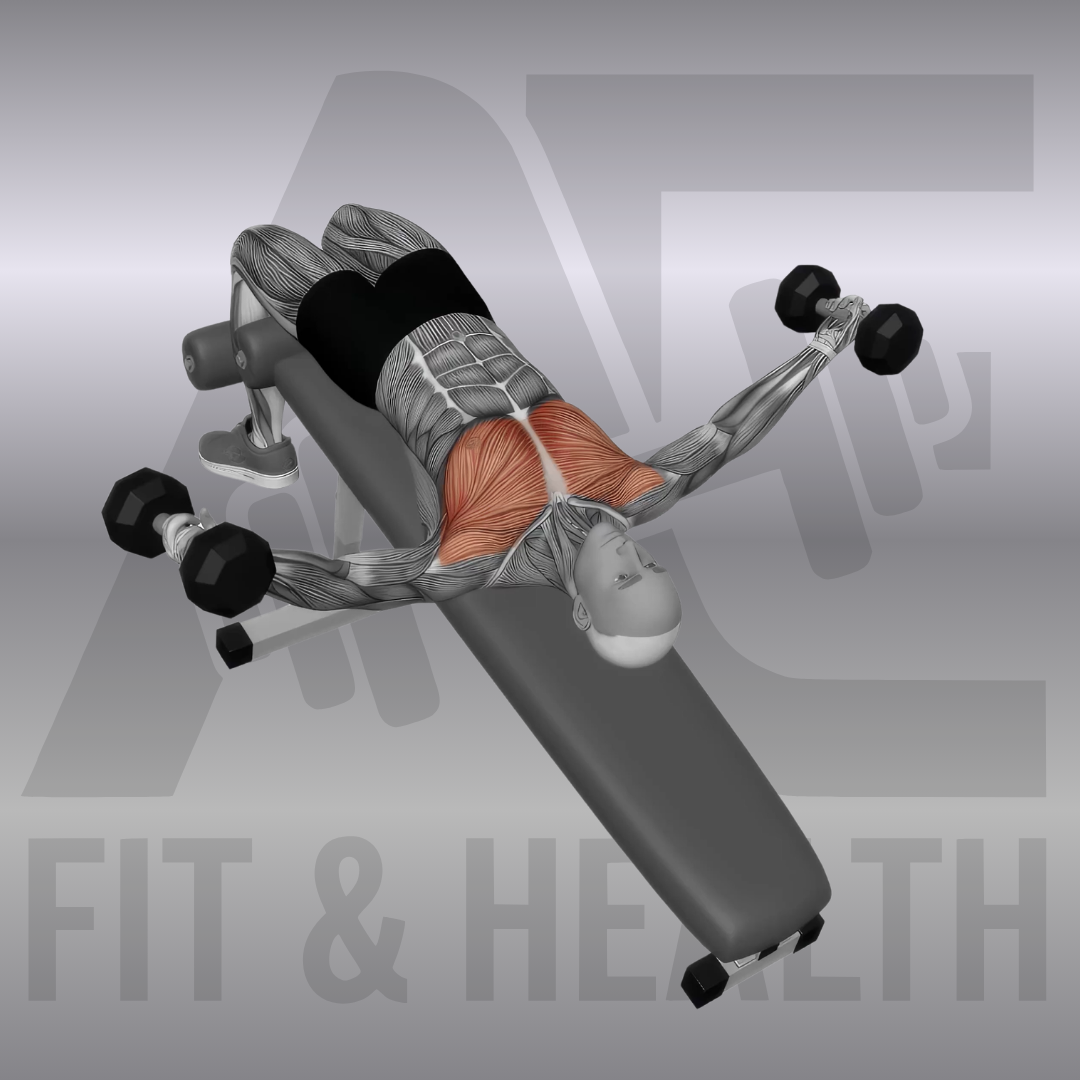 Dumbbell Decline Fly – Eine Person liegt auf einer Negativbank, die Füße fixiert, und führt zwei Kurzhanteln mit leicht gebeugten Armbeugen seitlich in einer Bogenbewegung über der Unterbrust zusammen.