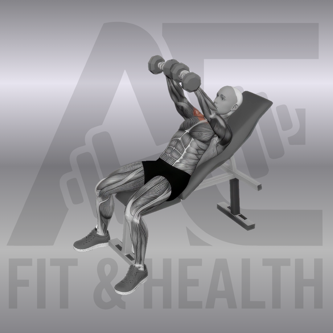 Dumbbell Incline Front Raise – Eine Person sitzt rücklings an eine Schrägbank angelehnt und hebt zwei Kurzhanteln mit fast gestreckten Armen auf Schulterhöhe nach vorne-oben an.