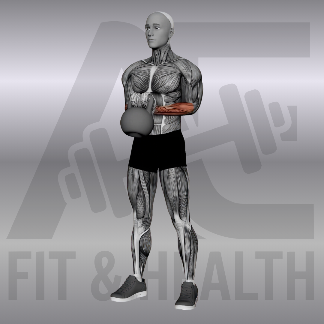 Kettlebell Wrist Curl – Eine Person kniet an einer Flachbank, der Unterarm liegt stabil auf dem Polster auf und die Hand beugt eine Kettlebell im Untergriff rein aus der Kraft des Handgelenks nach oben.
