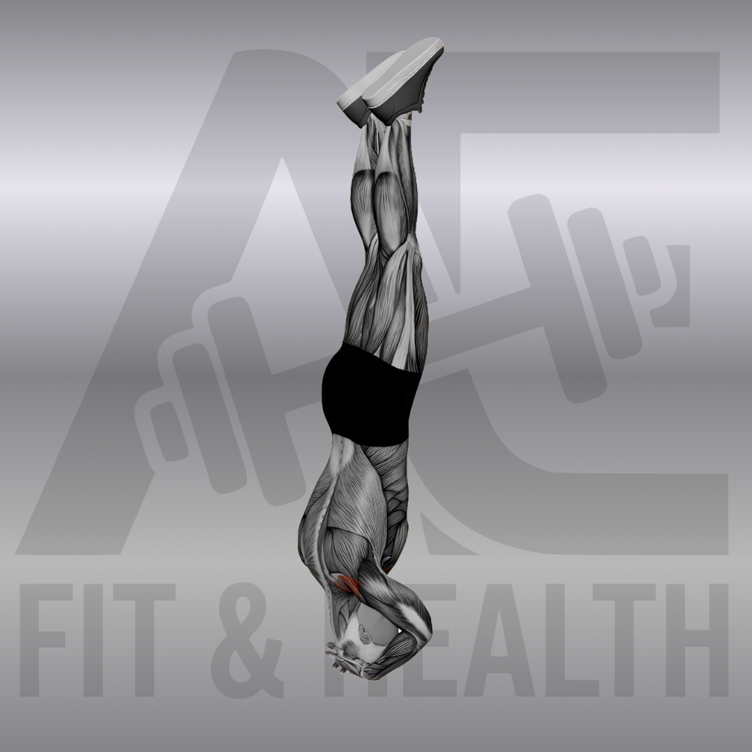 Headstand – Eine Person führt einen stabilen Kopfstand auf einer Trainingsmatte aus, wobei die Unterarme ein stabiles Dreieck bilden und der Körper von den Schultern bis zu den Zehenspitzen senkrecht ausgerichtet ist.