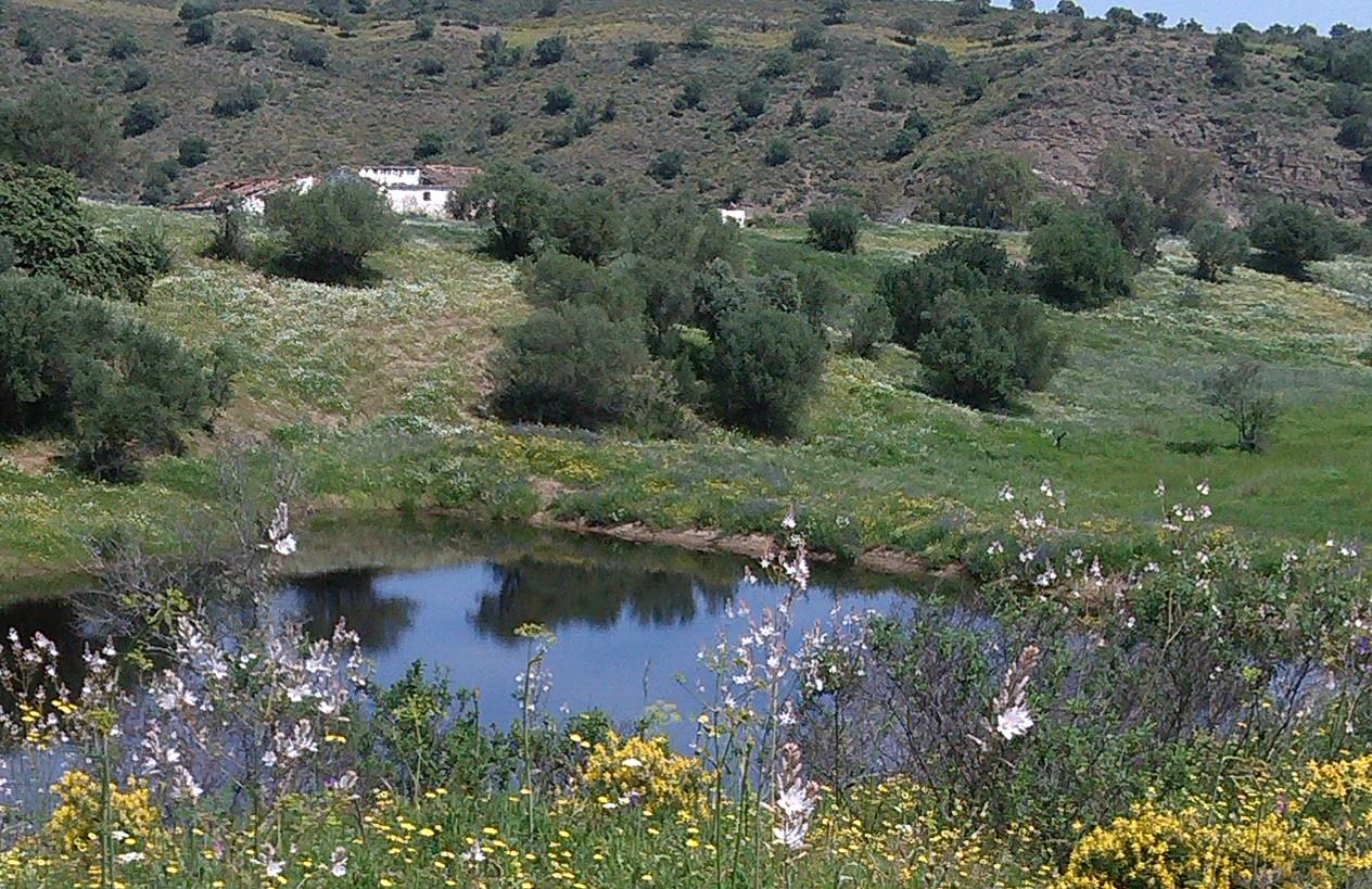 Architectural rendering of a community living space