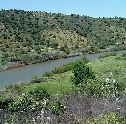 Architectural rendering of a riverfront villa