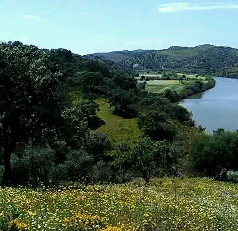 Architectural rendering of a modern villa