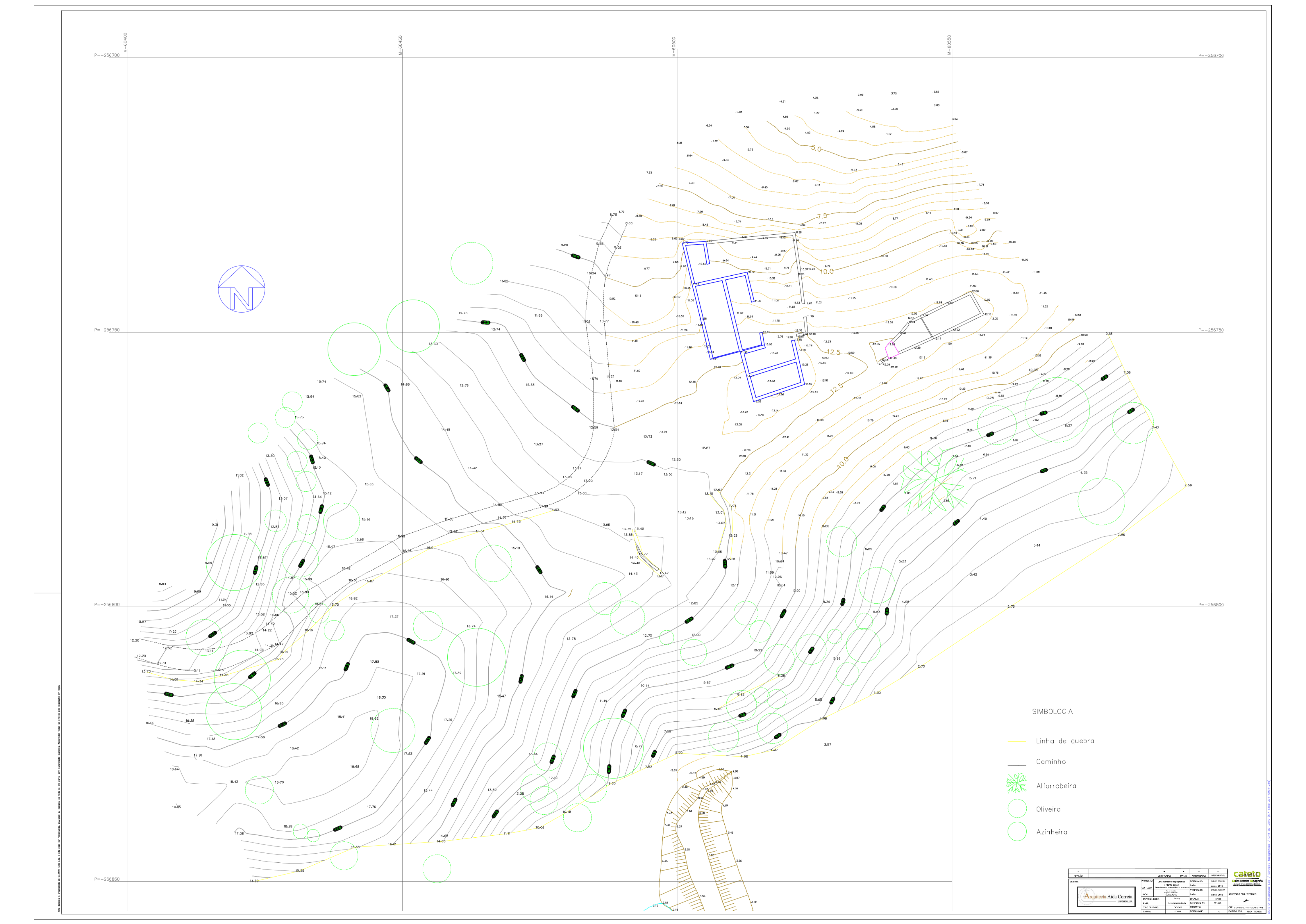 Topographic Survey Map