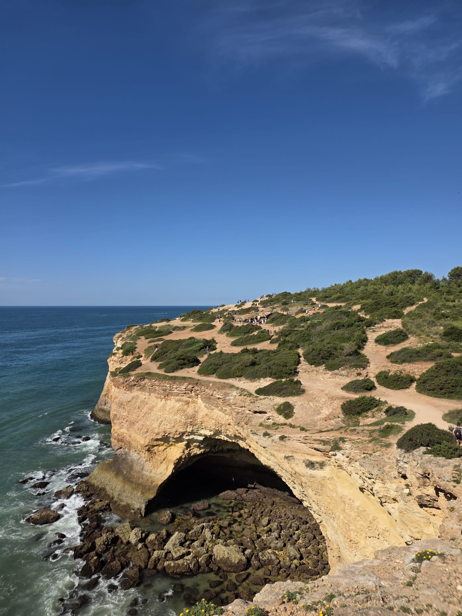 AlgarvianRoots