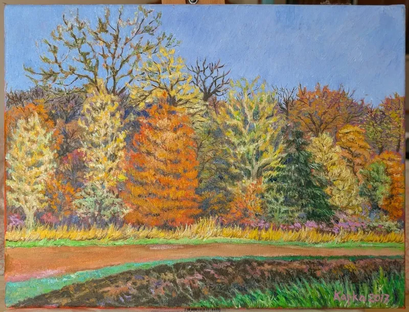 PXL_20250520_120158802