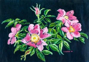 Wild Roses on Dark Green