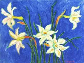 Narcissus