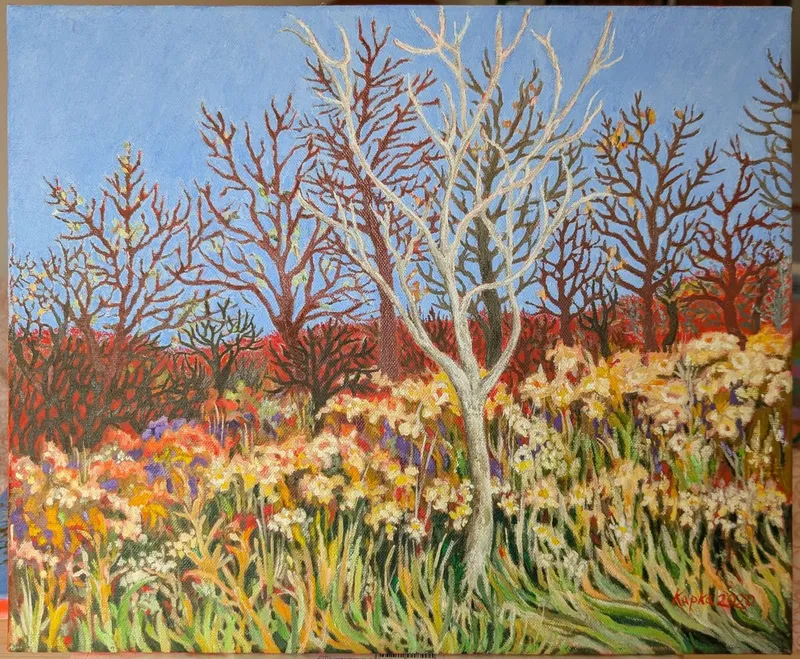 PXL_20250520_120105357