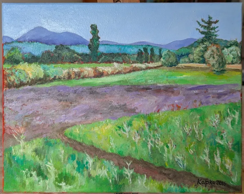 PXL_20250520_120655191