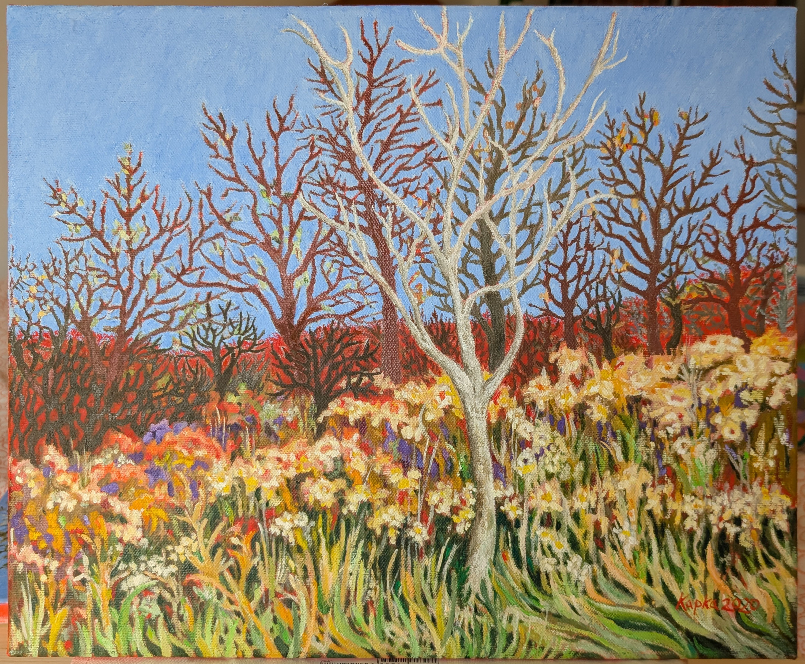 PXL_20250520_120105357