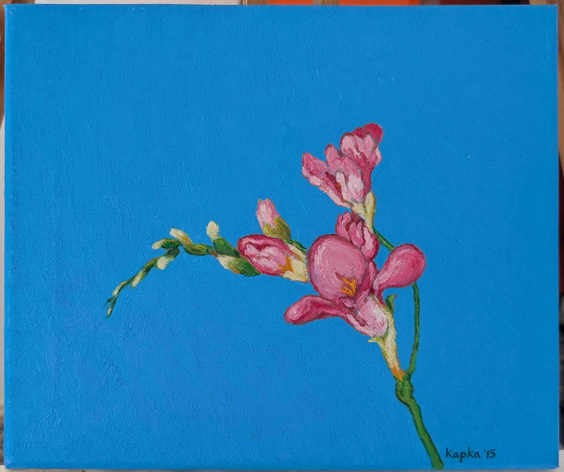 PXL_20250517_142536397