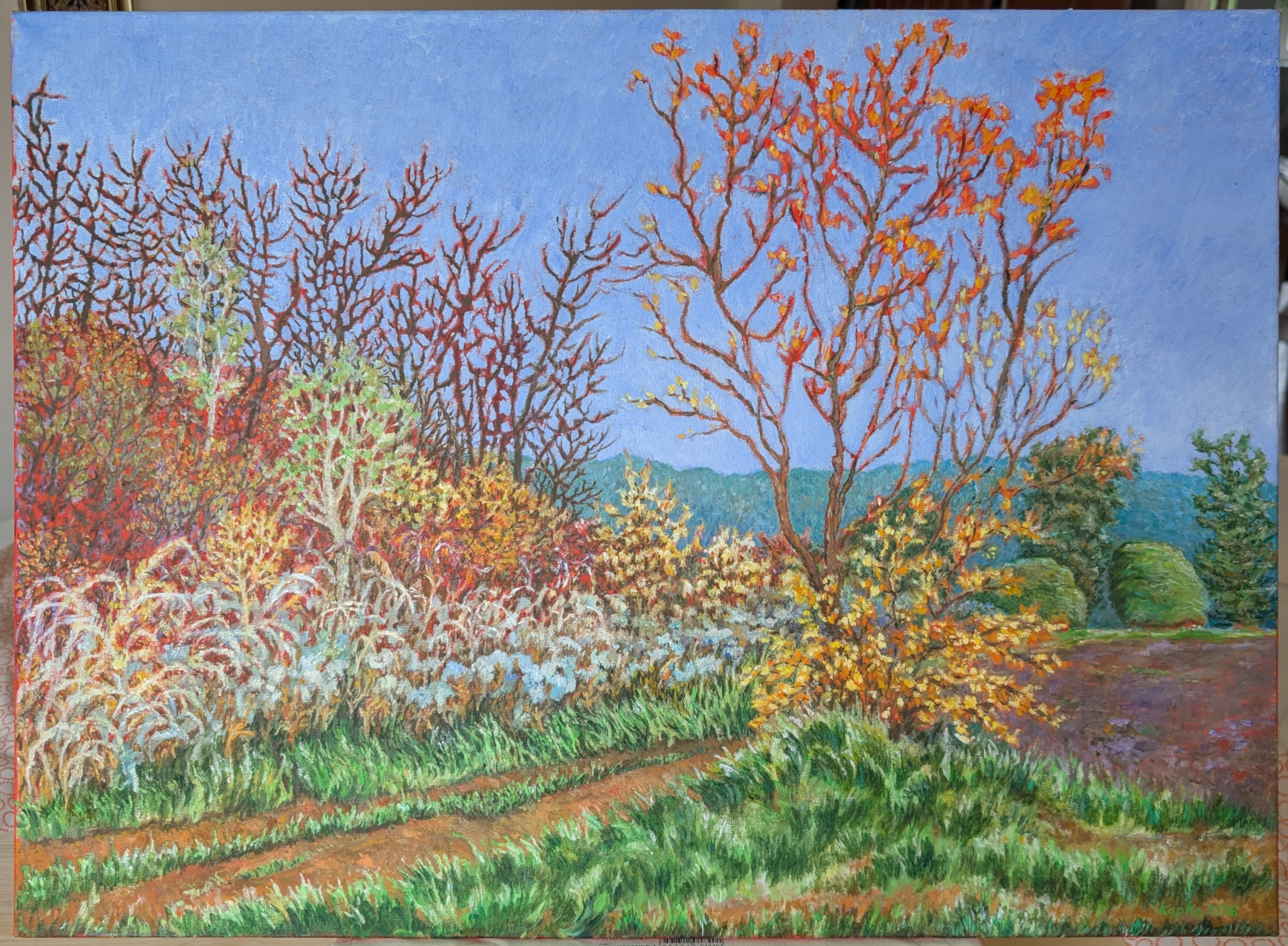 PXL_20250520_115520575