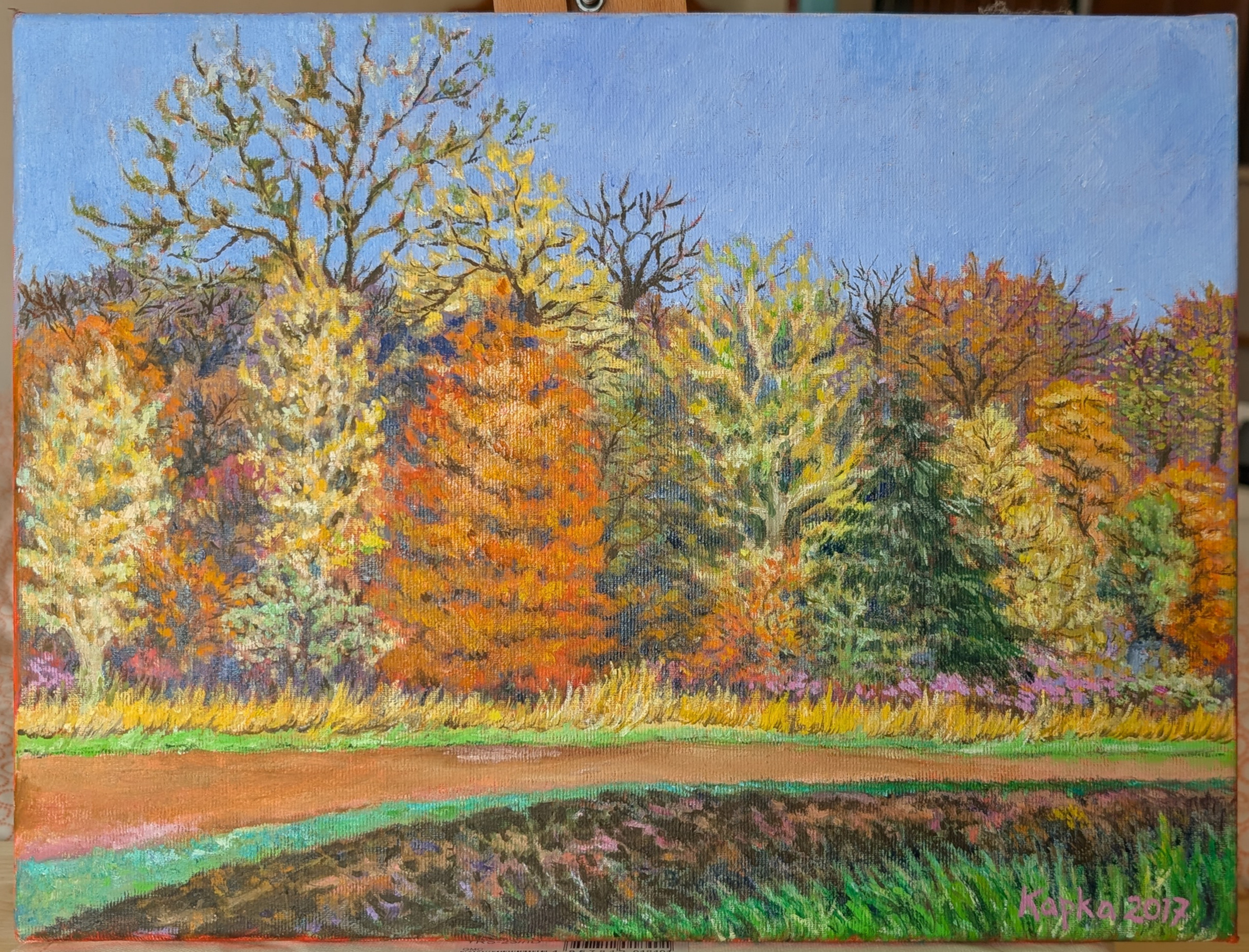 PXL_20250520_120158802