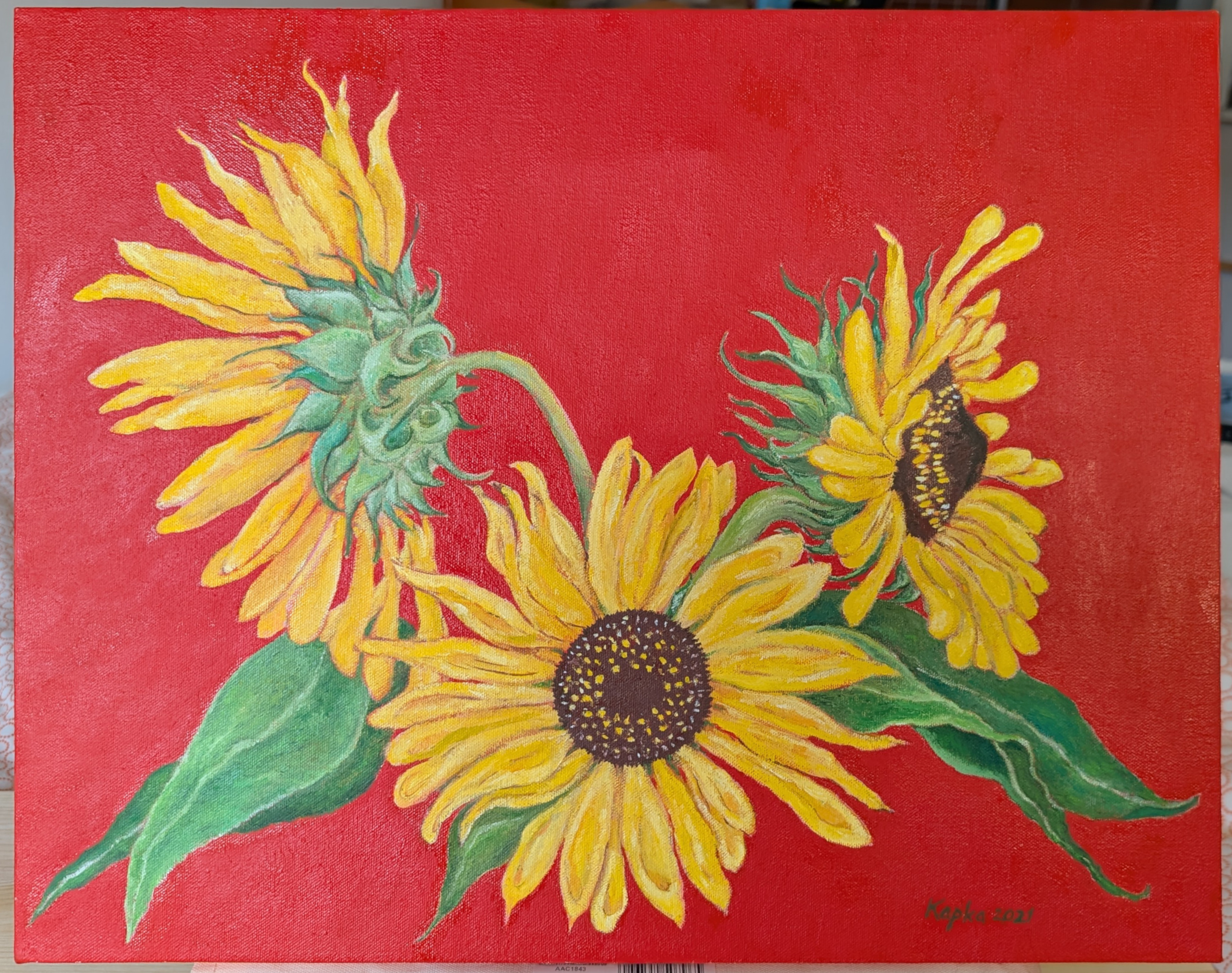 PXL_20250520_115606271