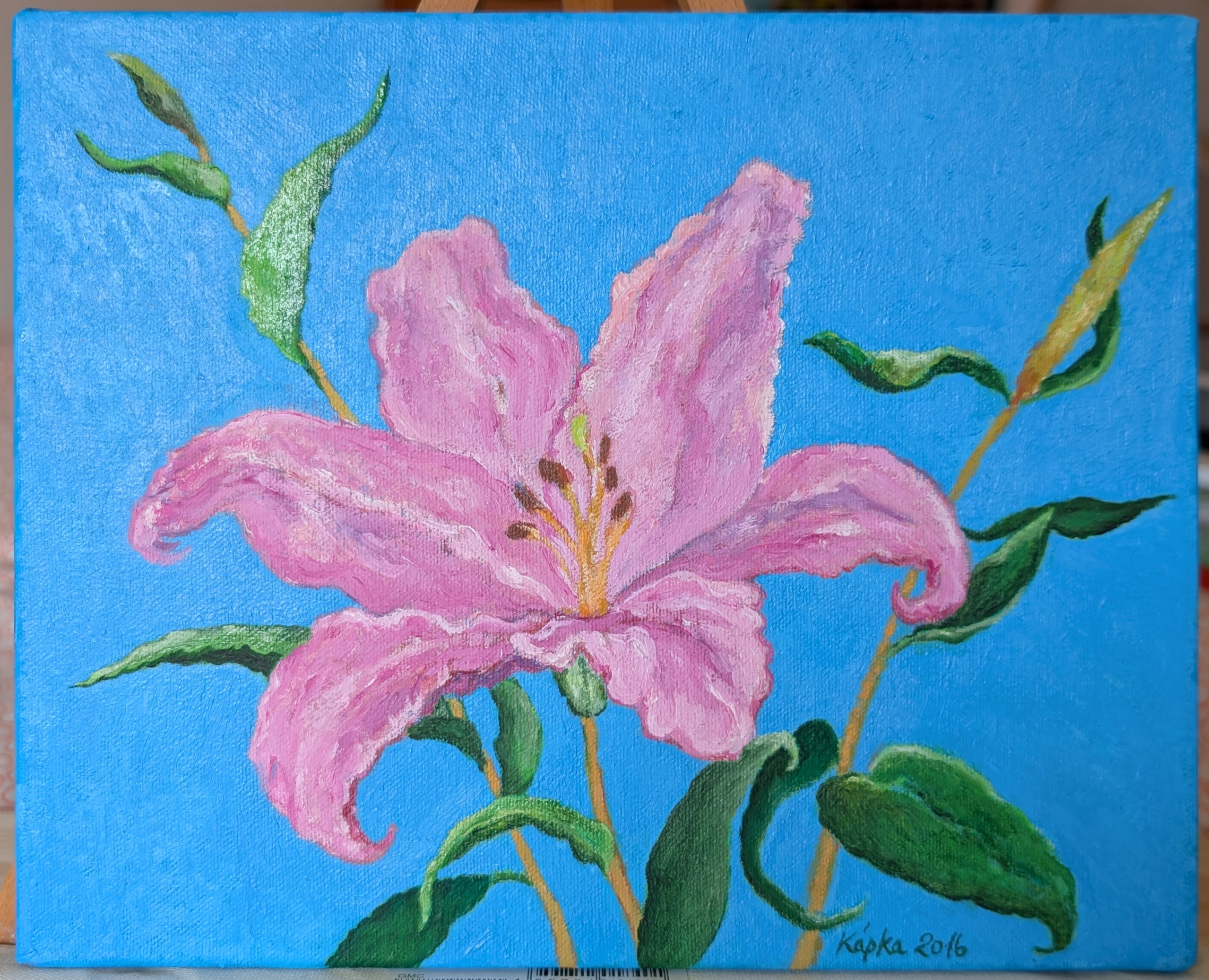 PXL_20250520_120609446