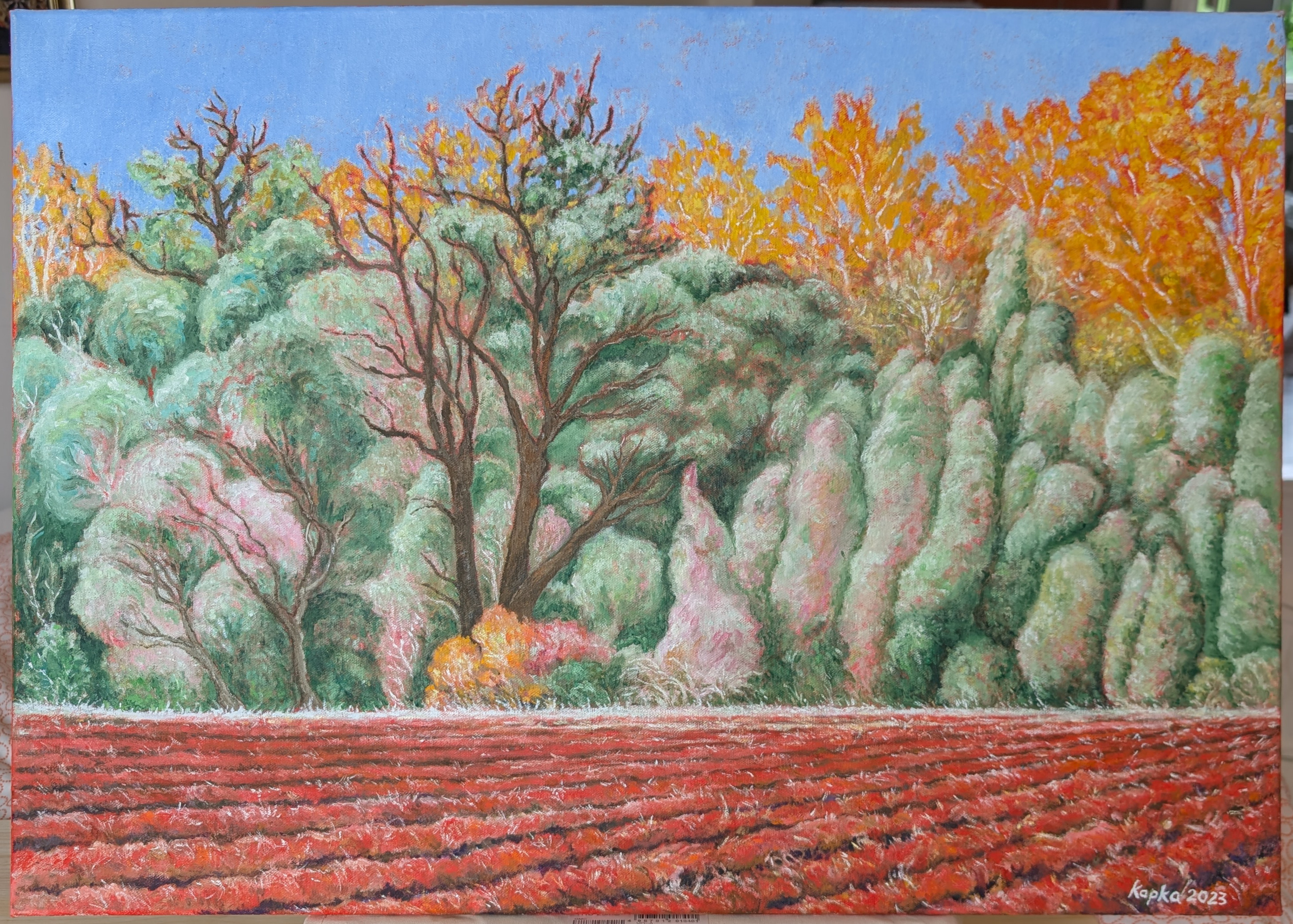 PXL_20250520_115015047