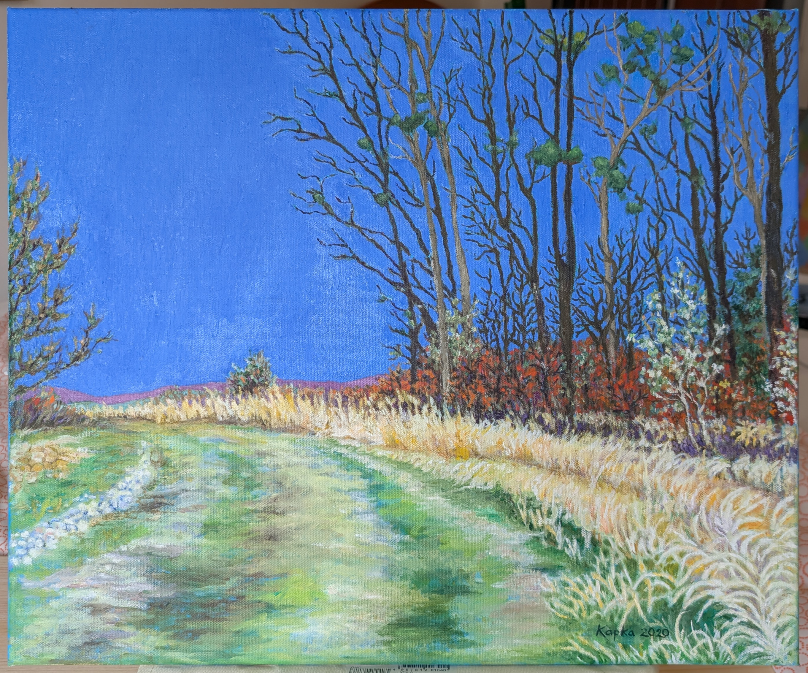 PXL_20250520_115332696