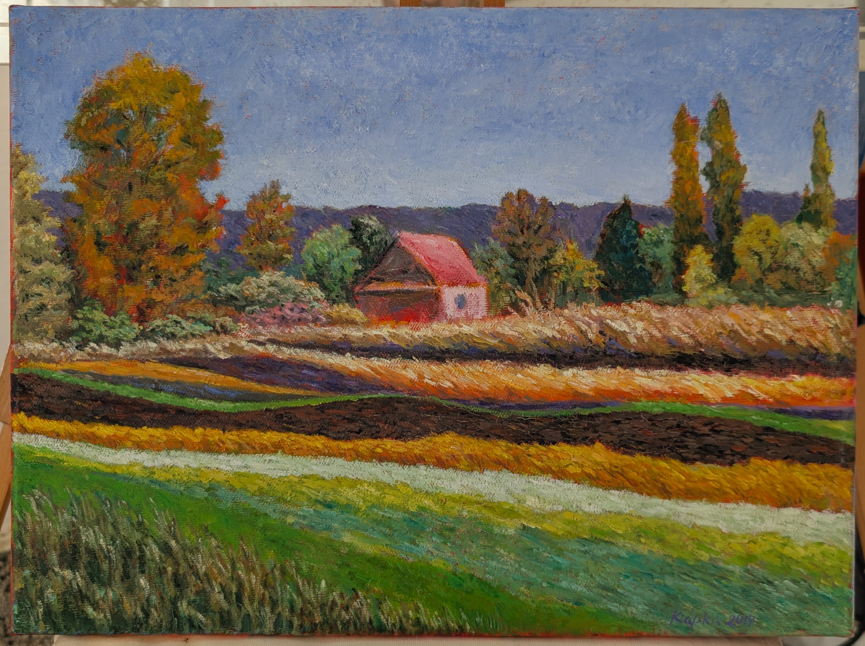 PXL_20250517_141952500