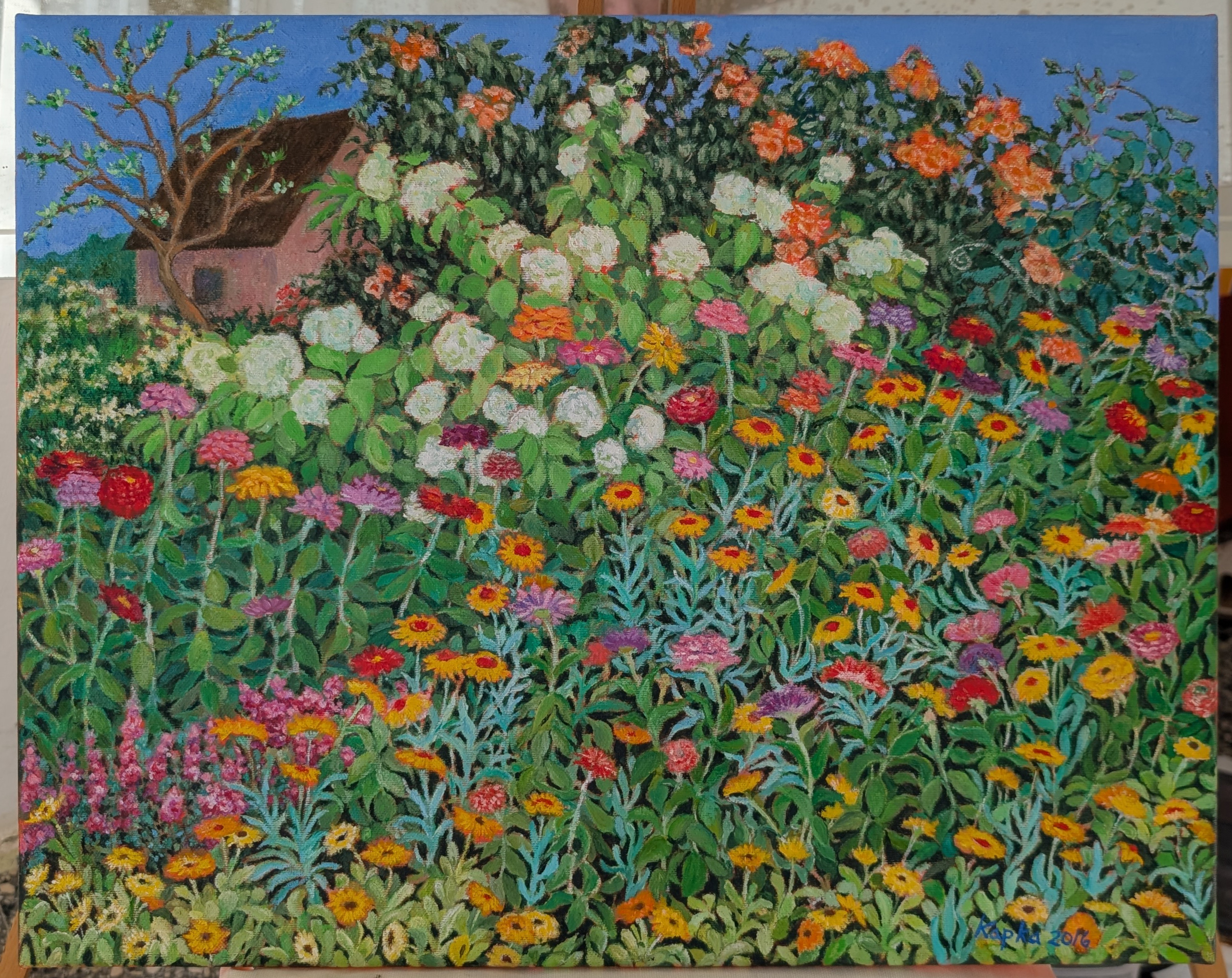 PXL_20250517_141818017