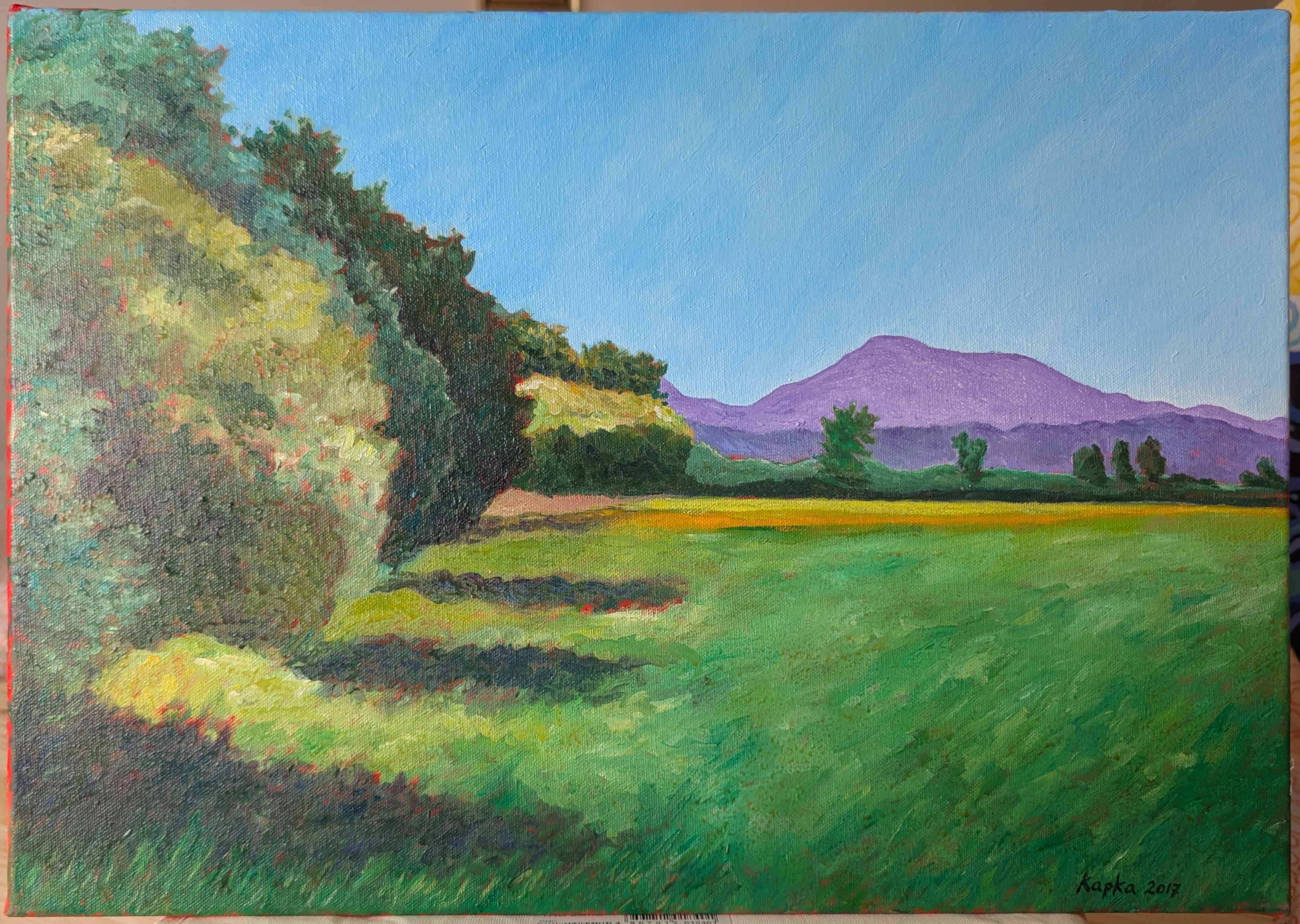 PXL_20250520_121847337