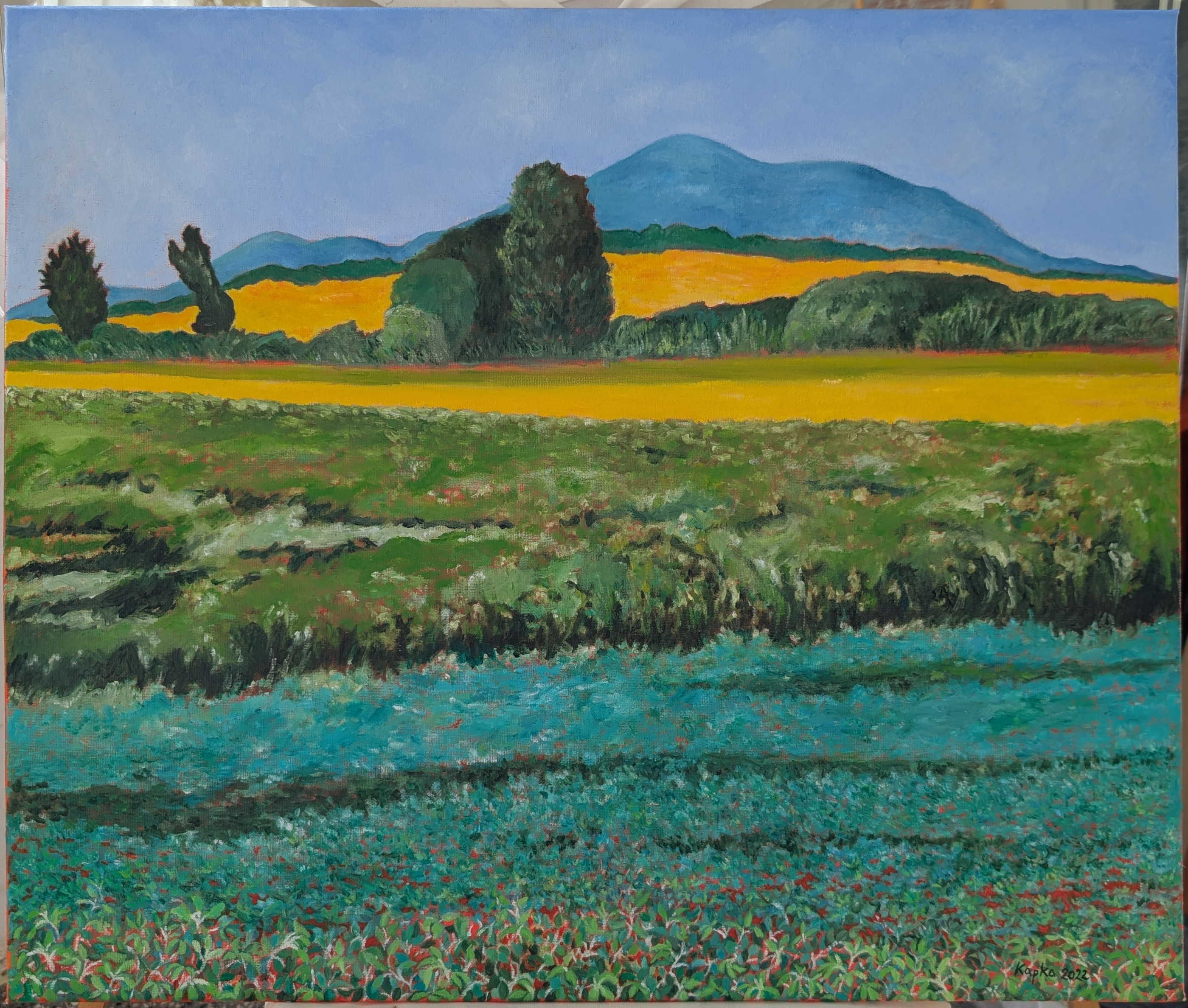 PXL_20250517_141412199