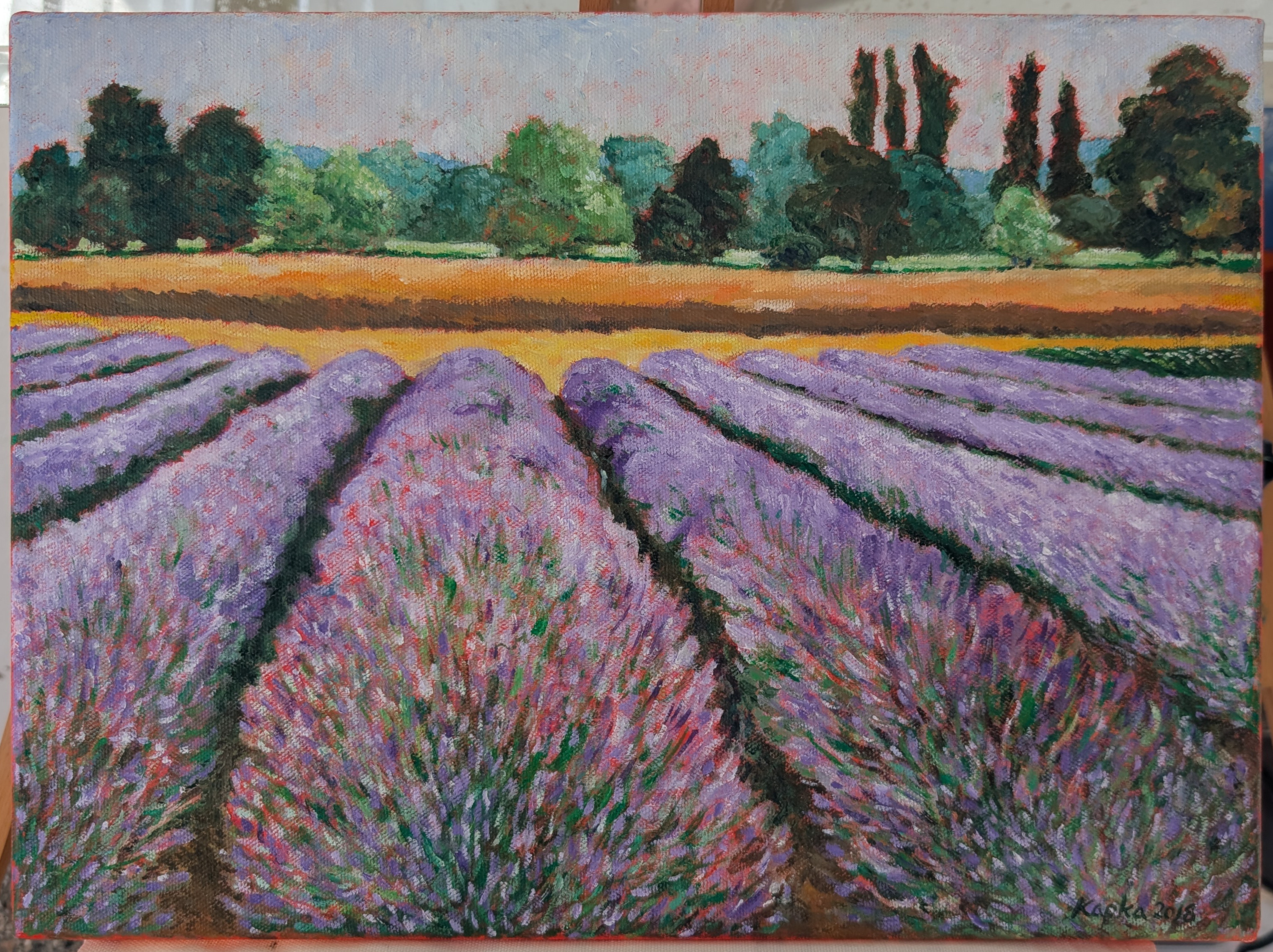 PXL_20250517_142037670