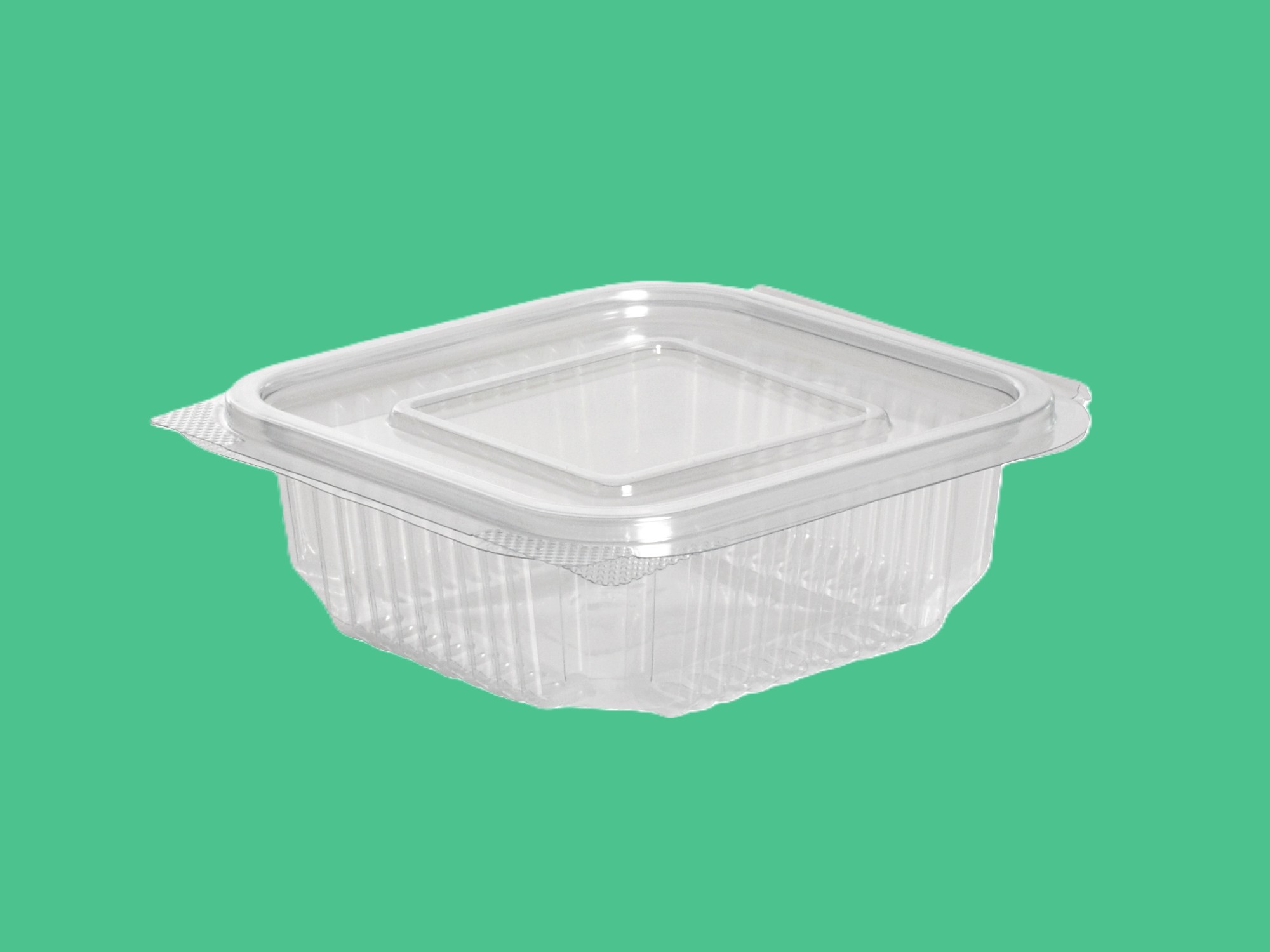 Boite salade charnière 250