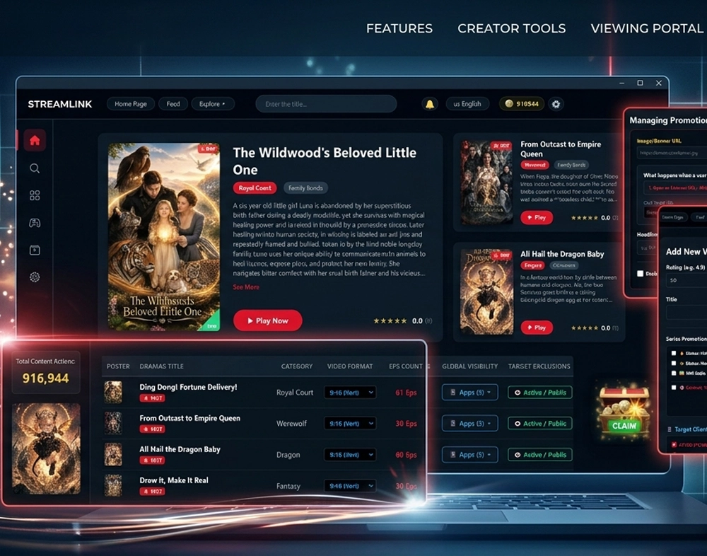 Video Streaming Software