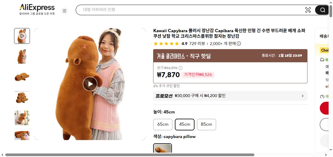 알리익스프레스 가격 캡쳐