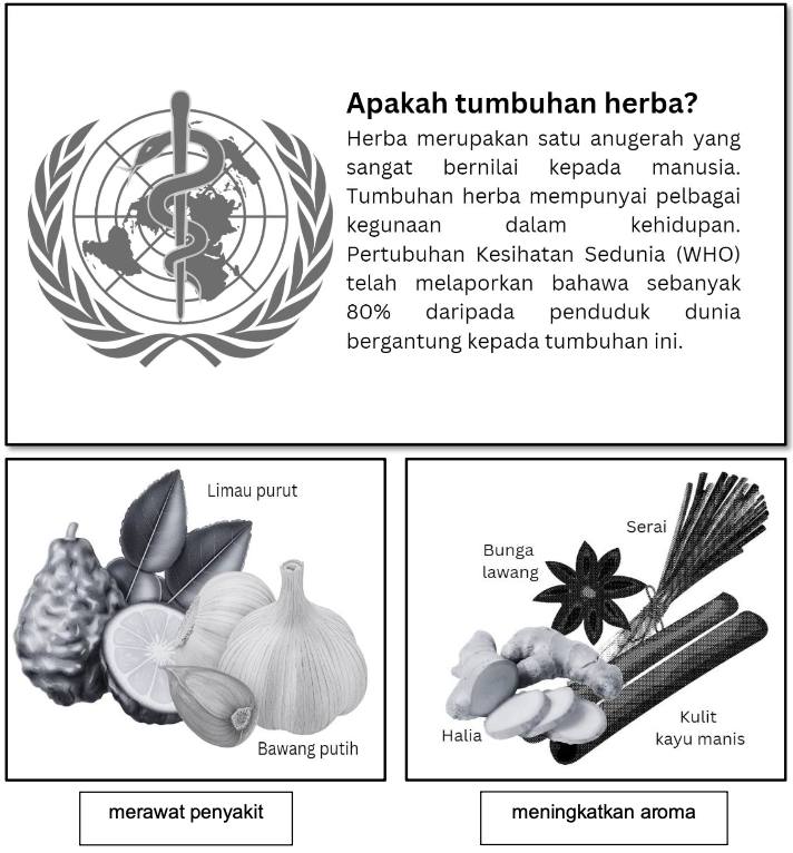 Soalan Bahagian A BM Kedah 2024