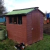 A shed standing on an allotment
