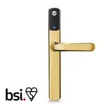 CONEXIS L1 SMART LOCK NO MODULE POLISHED BRASS