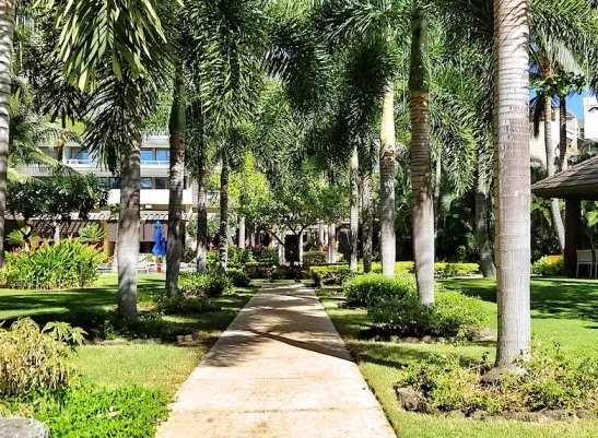 透かし (The Watermark)  3