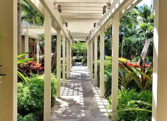 透かし (The Watermark)  6