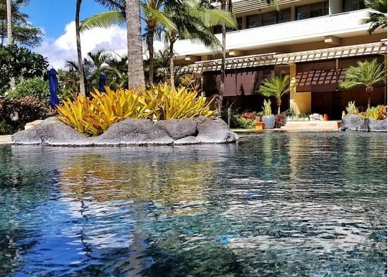 透かし (The Watermark)  4