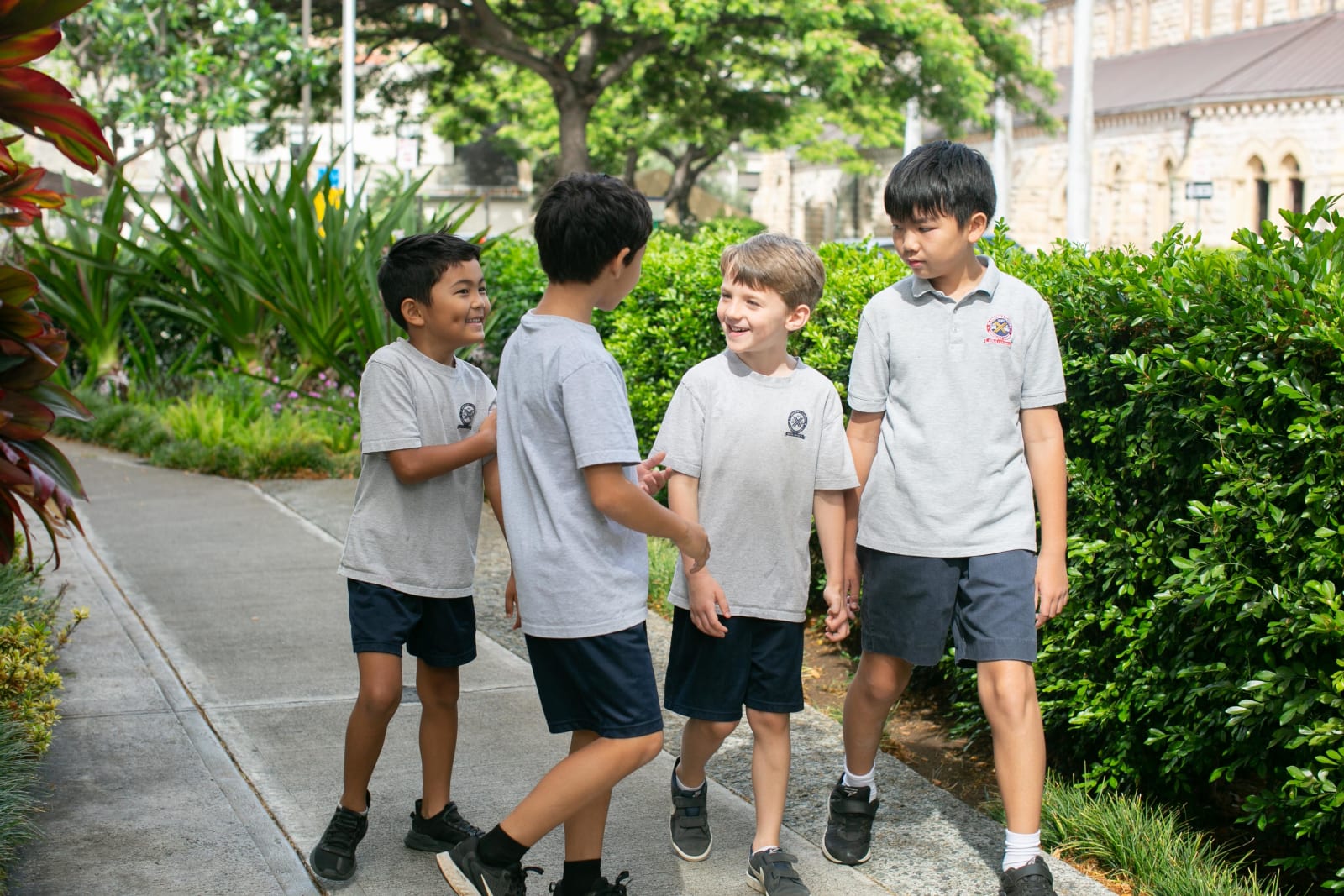 The St. Andrew's Schools