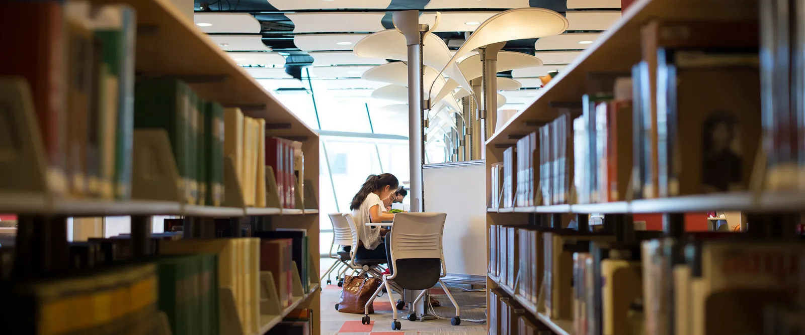 'イオラニスクール 