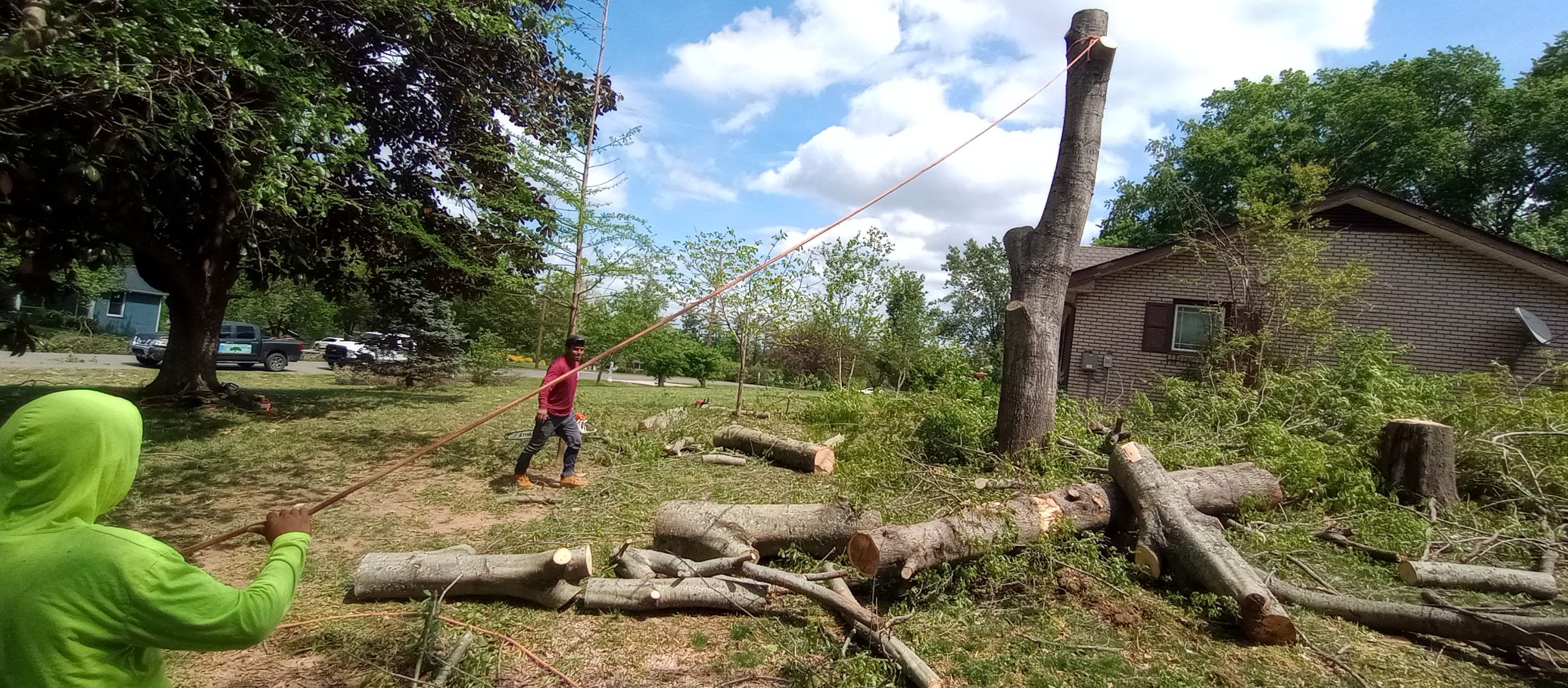 Tree service job photo