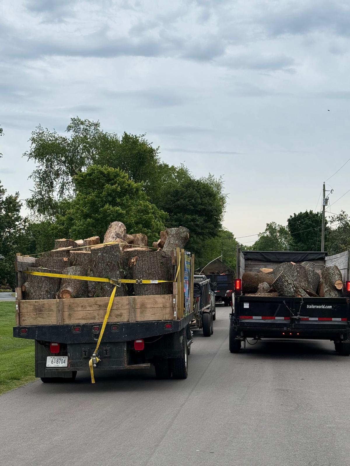 Tree service job photo