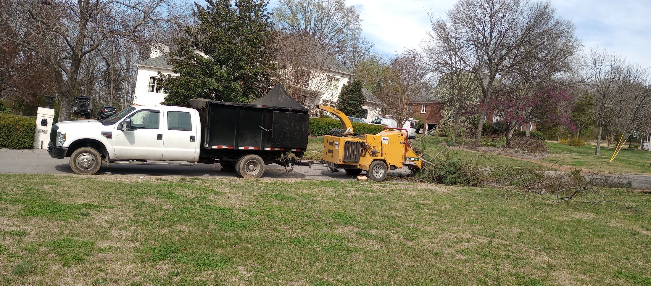 Tree service job photo